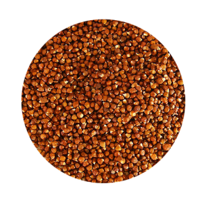 Grains of Paradise Seed