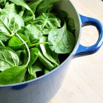 Spinach-1_s